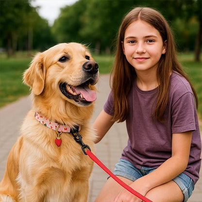 Collier chien - CuttieFrutti™ - Ma Promenade avec Toutou