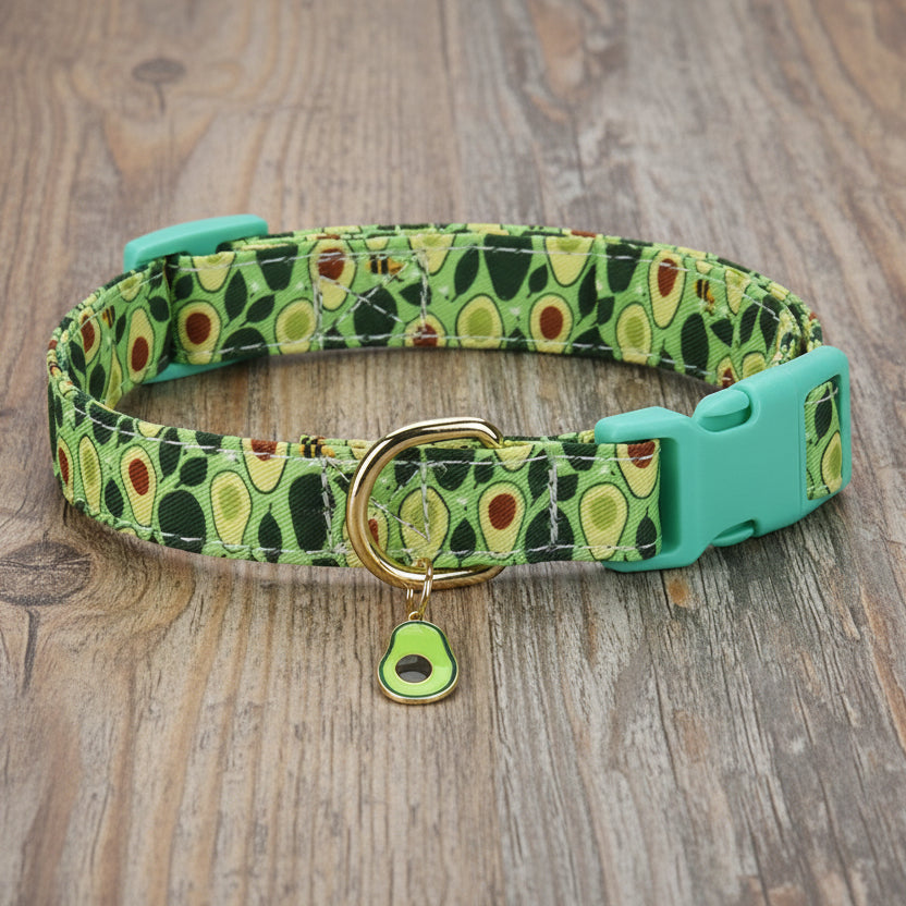 Collier chien - CuttieFrutti™ - Ma Promenade avec Toutou
