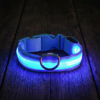 Collier Chien - LEDCollarDog™ - Bleu