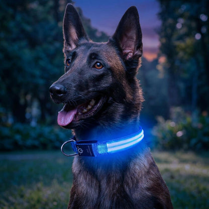Collier Chien - LEDCollarDog™ - Bleu