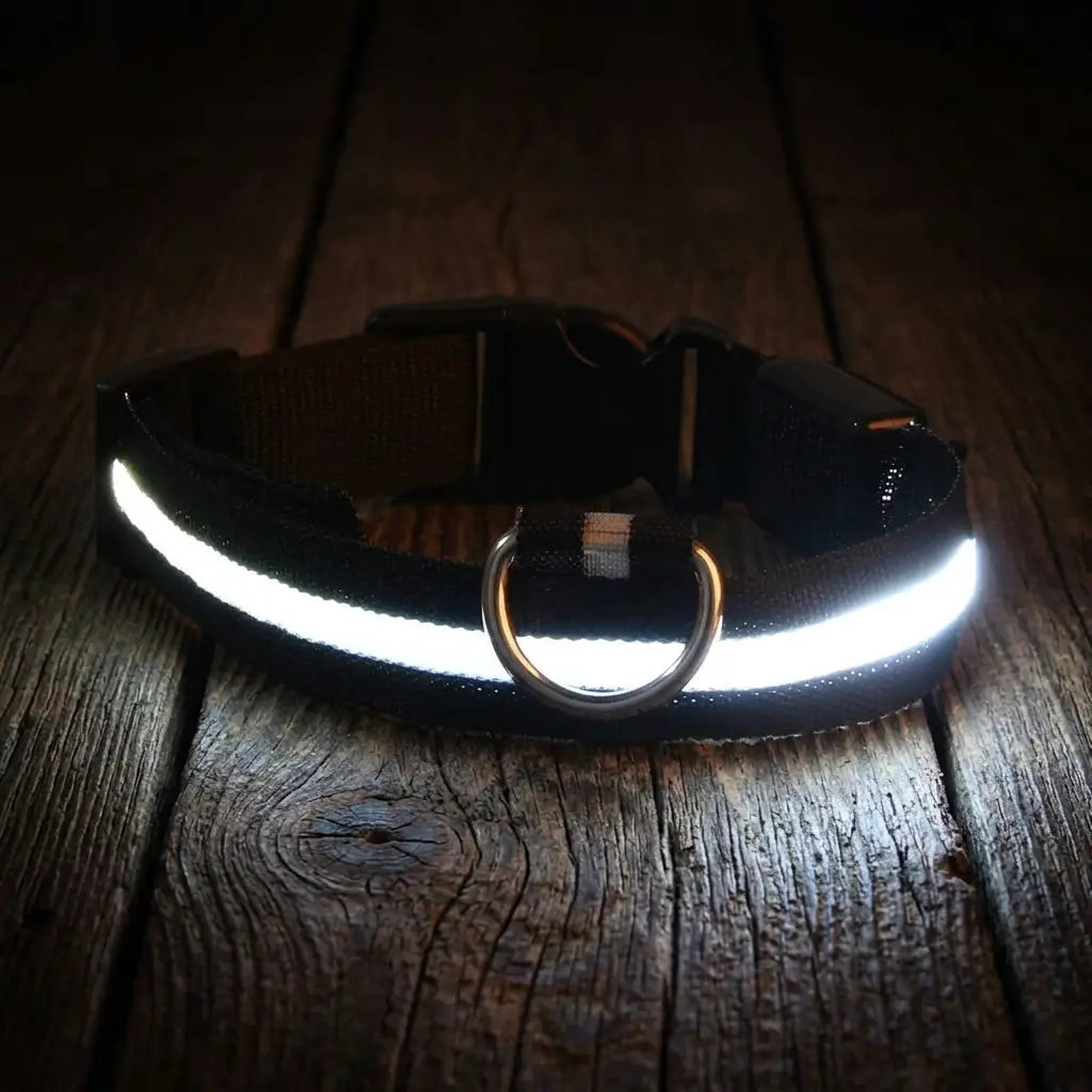 Collier Chien - LEDCollarDog™ - Noir