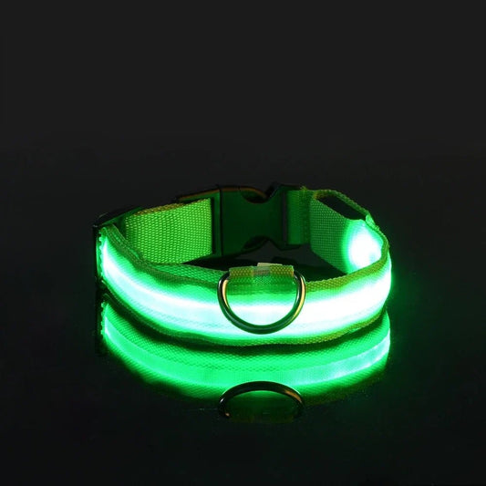 Collier Chien - LEDCollarDog™ - Vert - Ma Promenade avec Toutou