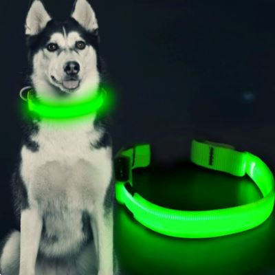 Collier Chien - LEDCollarDog™ - Vert - Ma Promenade avec Toutou