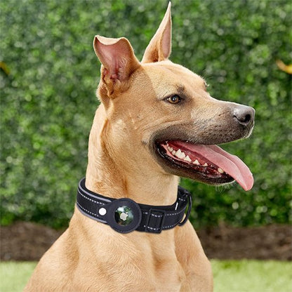 Collier GPS chien - EasyTrackDog™