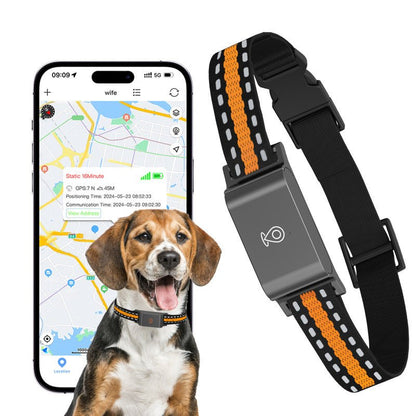Collier GPS pour chien - SimpleFound™ - Ma Promenade avec Toutou
