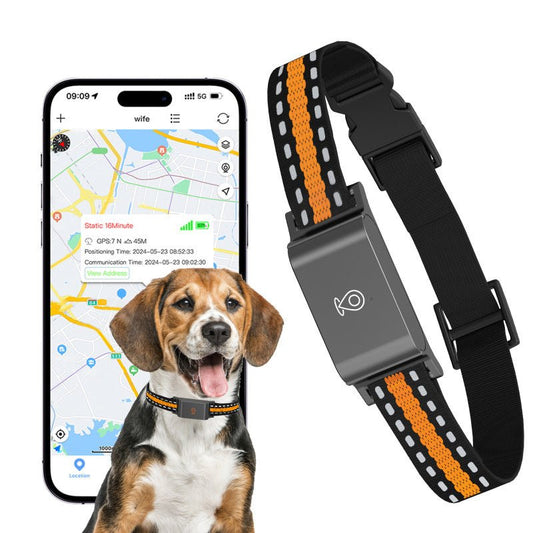 Collier GPS pour chien - SimpleFound™ - Ma Promenade avec Toutou