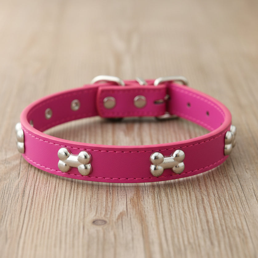 Collier pour chien - TotalCuir™ - Ma Promenade avec Toutou