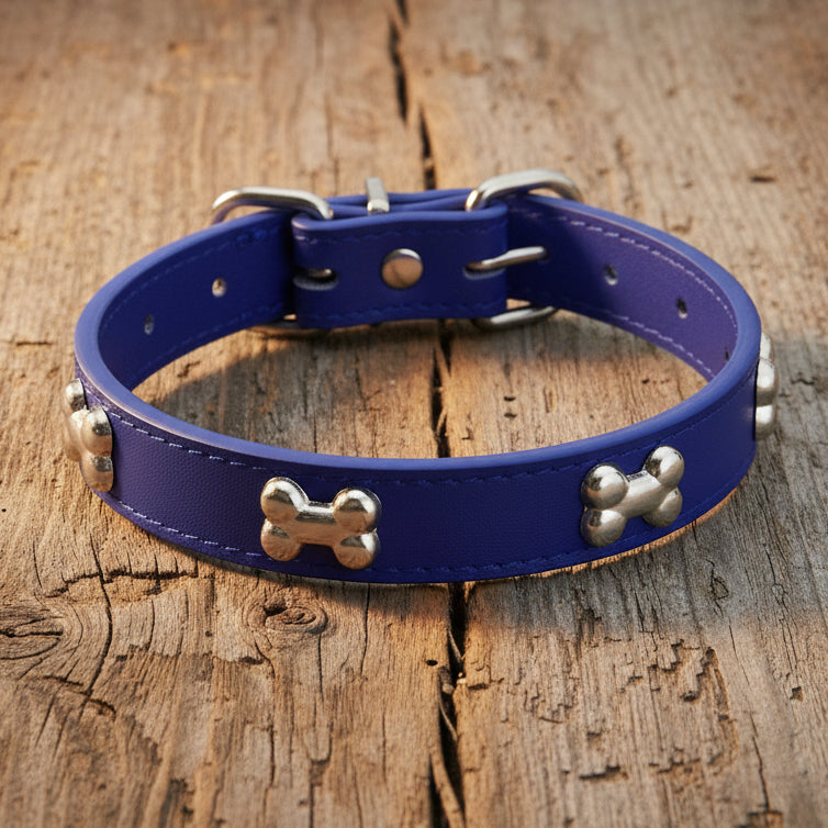 Collier pour chien - TotalCuir™ - Ma Promenade avec Toutou