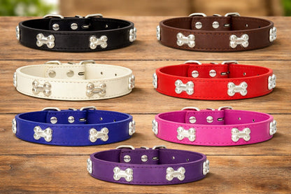 Collier pour chien - TotalCuir™ - Ma Promenade avec Toutou
