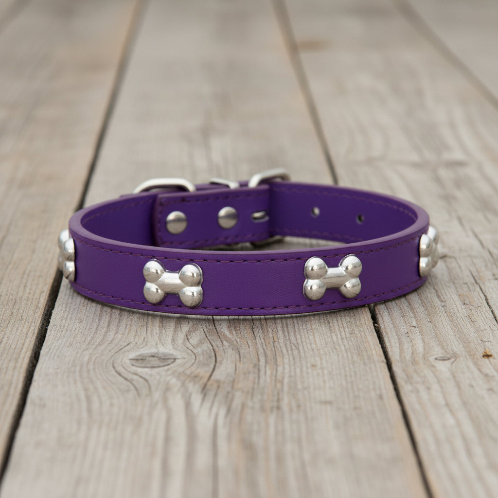 Collier pour chien - TotalCuir™ - Ma Promenade avec Toutou