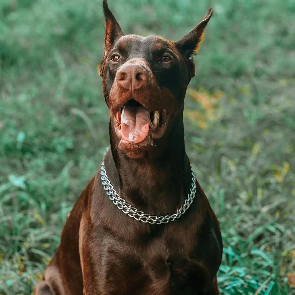 collier etrangleur chien - SimplyChain™