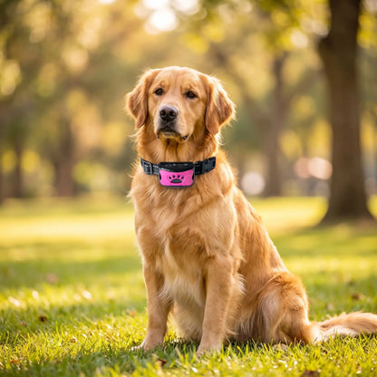 collier anti aboiement - CutieStopBark™ rose