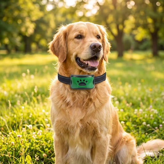 collier anti aboiement - CutieStopBark™ vert