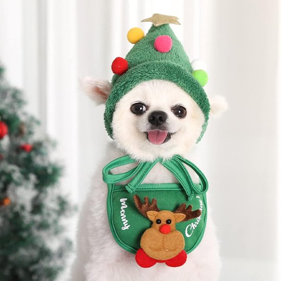 Déguisement chien - NoëlDog™
