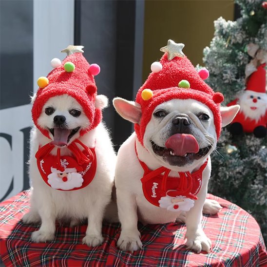 Déguisement chien - NoëlDog™