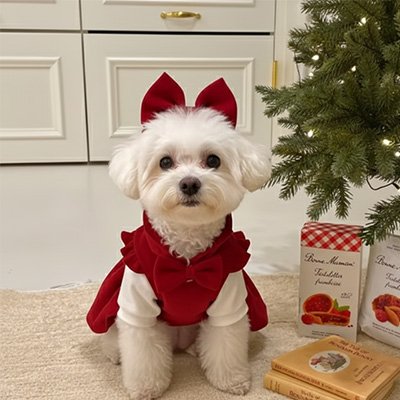 Déguisement chien - PrincessDog™