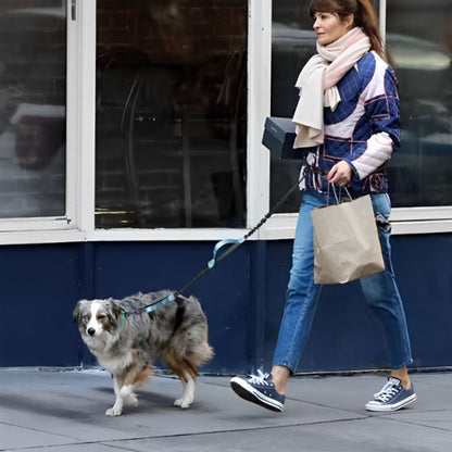 Laisse chien main libre - La Bella™