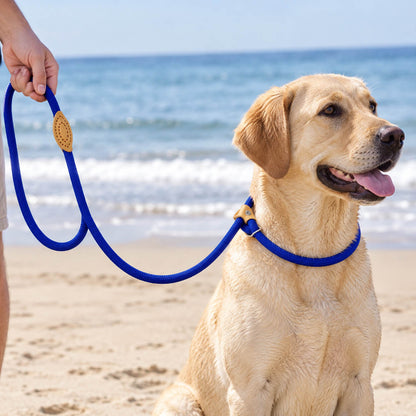 laisse chien lasso - EasyWalk™