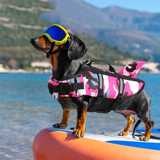 Gilet de sauvetage chien - ArmySharkDog™