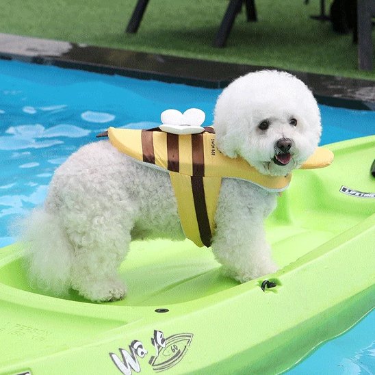 Gilet de sauvetage chien - BzzzDog™