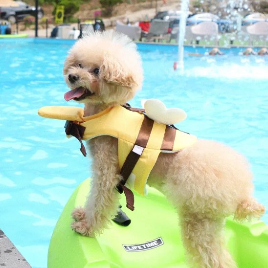 Gilet de sauvetage chien - BzzzDog™