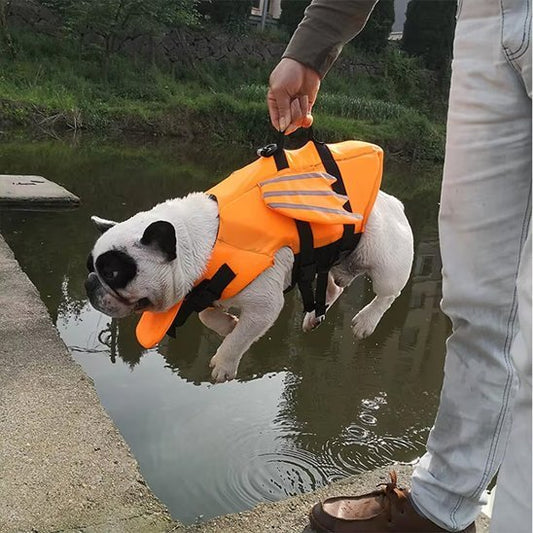 Gilet de sauvetage chien - FlyingWaterDog™ - Ma Promenade avec Toutou