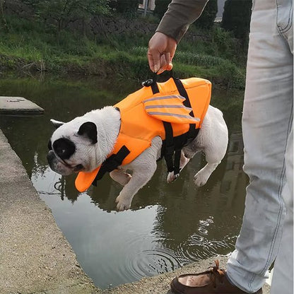 Gilet de sauvetage chien - FlyingWaterDog™