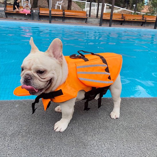 Gilet de sauvetage chien - FlyingWaterDog™