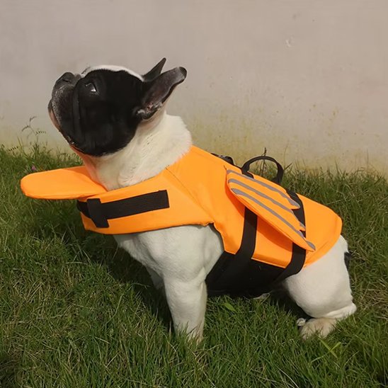 Gilet de sauvetage chien - FlyingWaterDog™