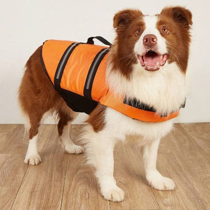 Gilet de sauvetage Chien - PerfectlySafe™ - Ma Promenade avec Toutou
