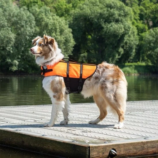 Gilet de sauvetage Chien - PerfectlySafe™ - Ma Promenade avec Toutou
