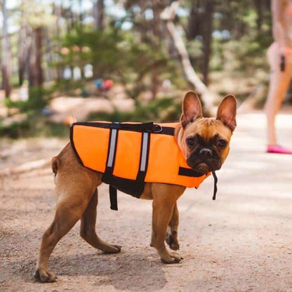 Gilet de sauvetage Chien - PerfectlySafe™ - Ma Promenade avec Toutou
