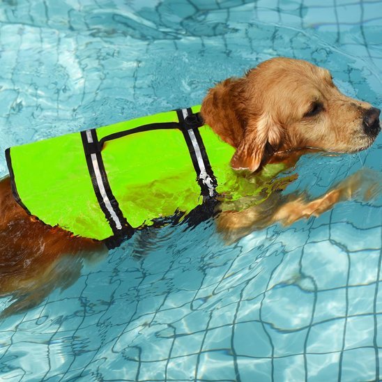 Gilet de sauvetage Chien - PerfectlySafe™ - Ma Promenade avec Toutou