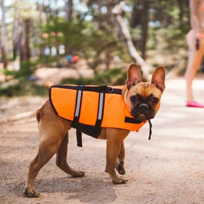 Gilet de sauvetage Chien - PerfectlySafe™