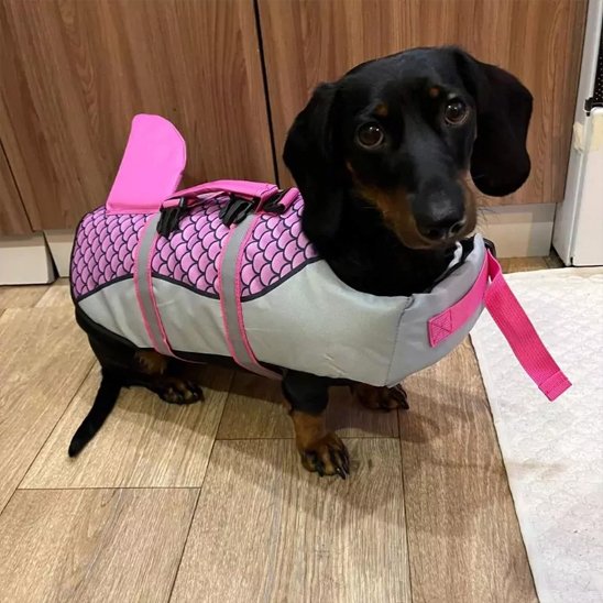 Gilet de sauvetage chien - SharkyDog™