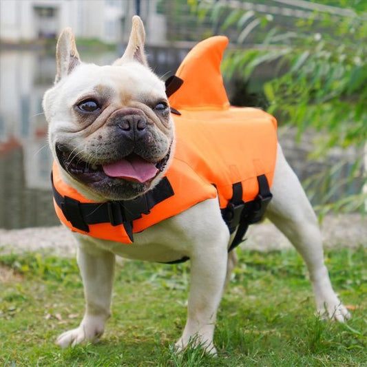Gilet de sauvetage chien - SimplyShark™ - Ma Promenade avec Toutou
