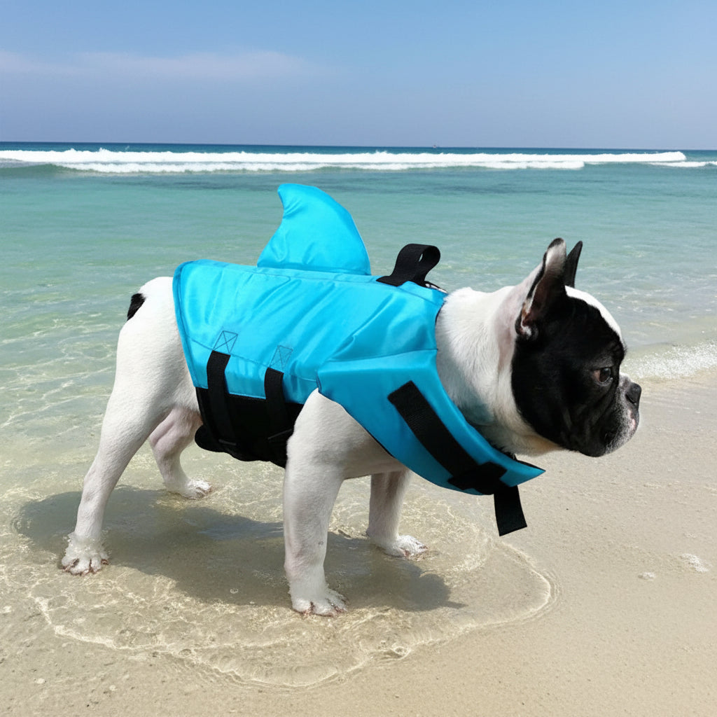 Gilet de sauvetage chien - SimplyShark™ - Ma Promenade avec Toutou