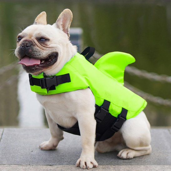 Gilet de sauvetage chien - SimplyShark™