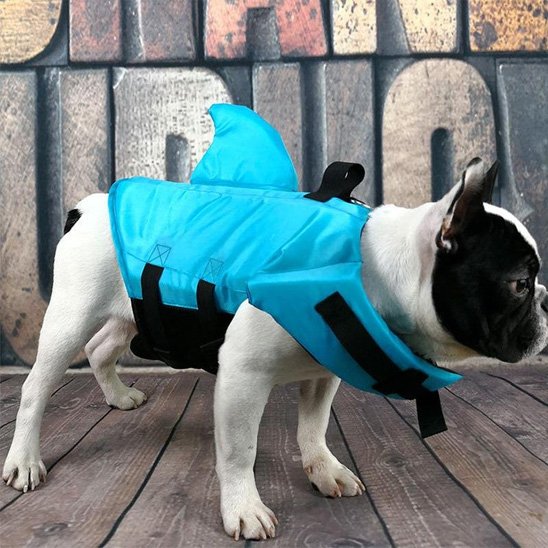 Gilet de sauvetage chien - SimplyShark™