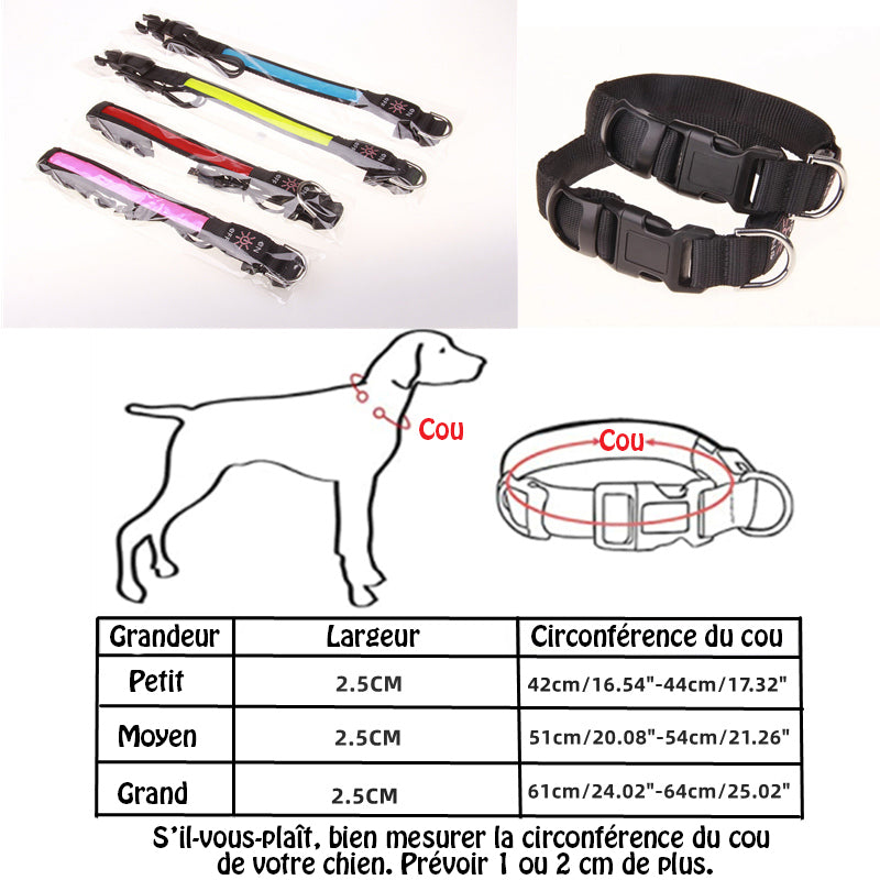 Collier lumineux chien - SeeFromFar™ - Bleu