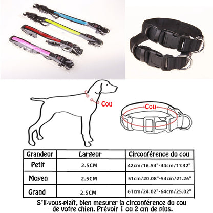 Collier lumineux chien - SeeFromFar™ - Bleu