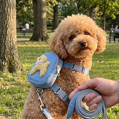 Harnais pour chien - DoggyBackPack™