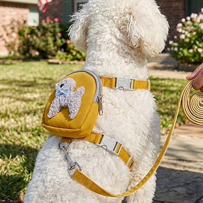 Harnais pour chien - DoggyBackPack™