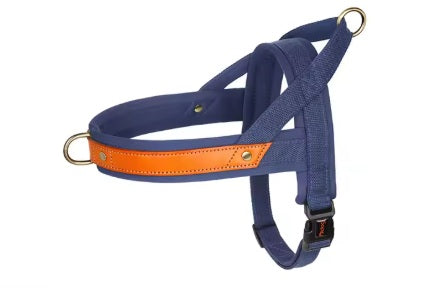 Harnais JustSweet™ bleu royal