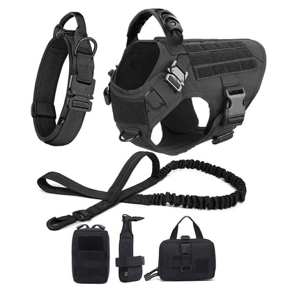harnais chien strongDog noir avec équipement complet