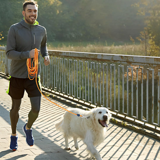Longe pour chien - Safety-Laisse™