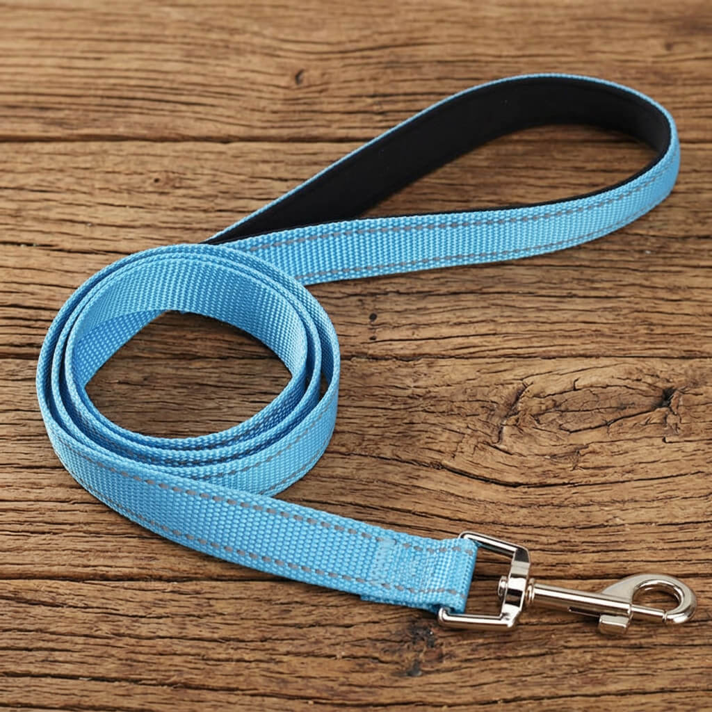 Laisse Chien extérieur - Magnifik-Laisse™ bleu