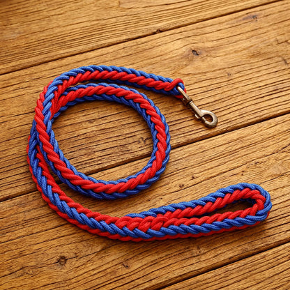 Laisse pour Chien - TorsadeSuprême™ bleu et rouge