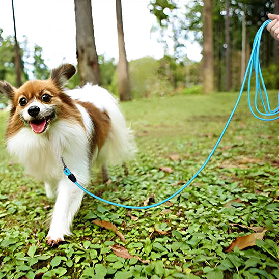 Longe pour chien - Safety-Laisse™