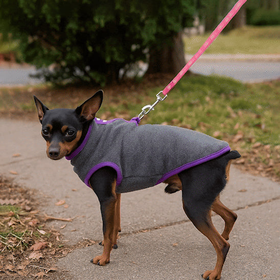 Manteau pour Chien - DoggyWarmCoat™